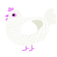 lukewarm milk, a white chicken with a lace pattern