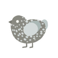 still a rock, a ash chicken with a speckle pattern