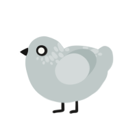 (unnamed), a silver chicken with a neck-speckle pattern