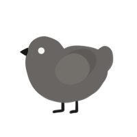 Dust Dust, a grey chicken