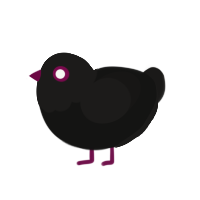 (unnamed), a black and sable chicken with a head pattern