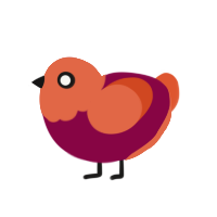 Chico, a maroon and vermilion chicken with a head pattern