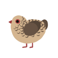 Heath, a beige and bark chicken with a half-lace pattern