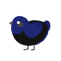 2, a black and navy chicken with a head pattern