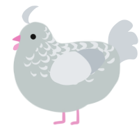 (unnamed), a silver and mist chicken with a half-lace pattern