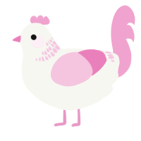 Chiclet, a white and pink chicken with a neck-band pattern