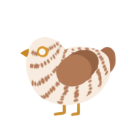 (unnamed), a cream and brown chicken with a bar pattern