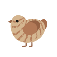 (unnamed), a beige and brown chicken with a bar pattern