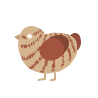 (unnamed), a beige and russet chicken with a bar pattern