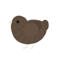 (unnamed), a bark chicken with a bar pattern