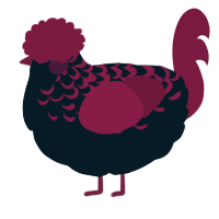 4, a tumblr and maroon chicken with a half-lace pattern