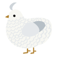 A white and mist chicken with a lace pattern