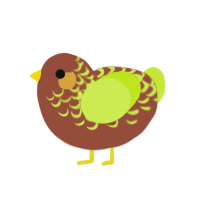 Avocat, a russet and lime chicken with a half-lace pattern