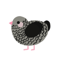 (unnamed), a ash and black chicken with a lace pattern