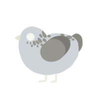 Greyscale, a mist and ash chicken with a neck-speckle pattern