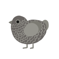 rock, a grey and ash chicken with a lace pattern