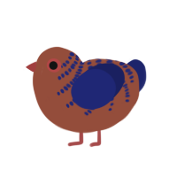 (unnamed), a russet and navy chicken with a half-bar pattern