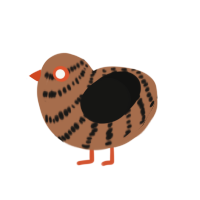 (unnamed), a brown and black chicken with a bar pattern