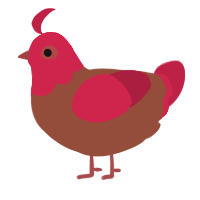 Red Velvet, a russet and crimson chicken with a head pattern