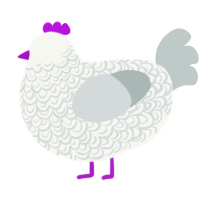 lucy, a white and silver chicken with a double-lace pattern