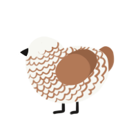 (unnamed), a white and brown chicken with a lace pattern