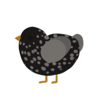 (unnamed), a sable and grey chicken with a speckle pattern