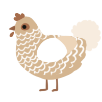 Sir Timpani, a beige and cream chicken with a lace pattern