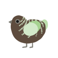 Kiwi, a bark and gluppy chicken with a half-bar pattern