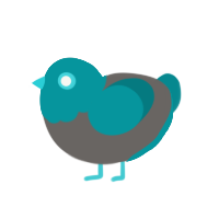 popipo, a grey and teal chicken with a head pattern