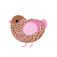 Coco Berry, a brown and pink chicken with a lace pattern