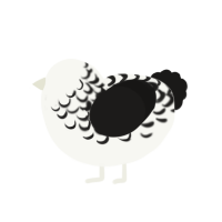 (unnamed), a white and sable chicken with a half-lace pattern