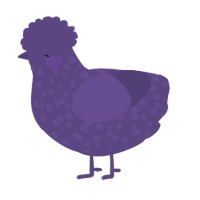 Afton, a overcast chicken with a speckle pattern