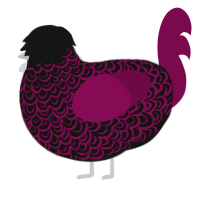 (unnamed), a black and wine chicken with a double-lace pattern