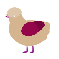 beach sand, a beige and maroon chicken