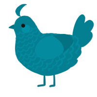 Underwater, a sea chicken with a lace pattern