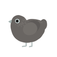 (unnamed), a grey chicken with a neck-speckle pattern