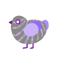 Koopinator, a ash and lilac chicken with a bar pattern