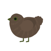 (unnamed), a bark chicken with a bar pattern