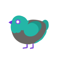 ukiM, a grey and turquoise chicken with a head pattern