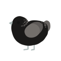 (unnamed), a sable and grey chicken with a neck-band pattern