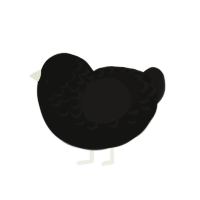 (unnamed), a black and sable chicken with a half-lace pattern