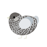 (unnamed), a grey and mist chicken with a lace pattern