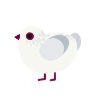 (unnamed), a white and mist chicken with a neck-speckle pattern