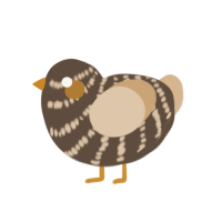 (unnamed), a bark and beige chicken with a bar pattern