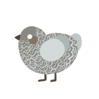 (unnamed), a ash and silver chicken with a double-lace pattern