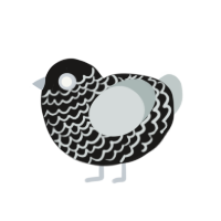 (unnamed), a sable and silver chicken with a lace pattern