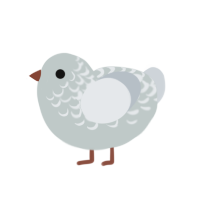 (unnamed), a silver and mist chicken with a half-lace pattern