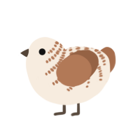 (unnamed), a cream and brown chicken with a half-bar pattern