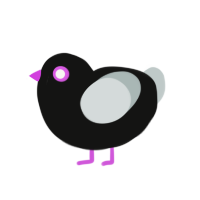 (unnamed), a black and silver chicken