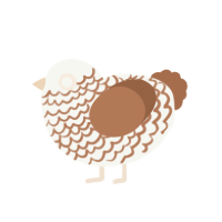 Malt, a white and brown chicken with a lace pattern